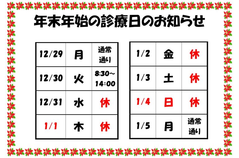 年末年始休診のお知らせ_page-0001